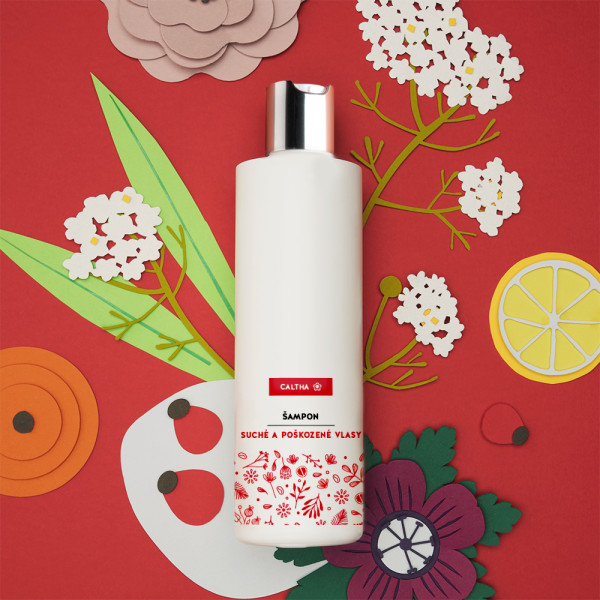 Tekutý šampón na suché a poškodené vlasy / bazový kvet, šípky